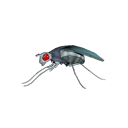 Spy Fly